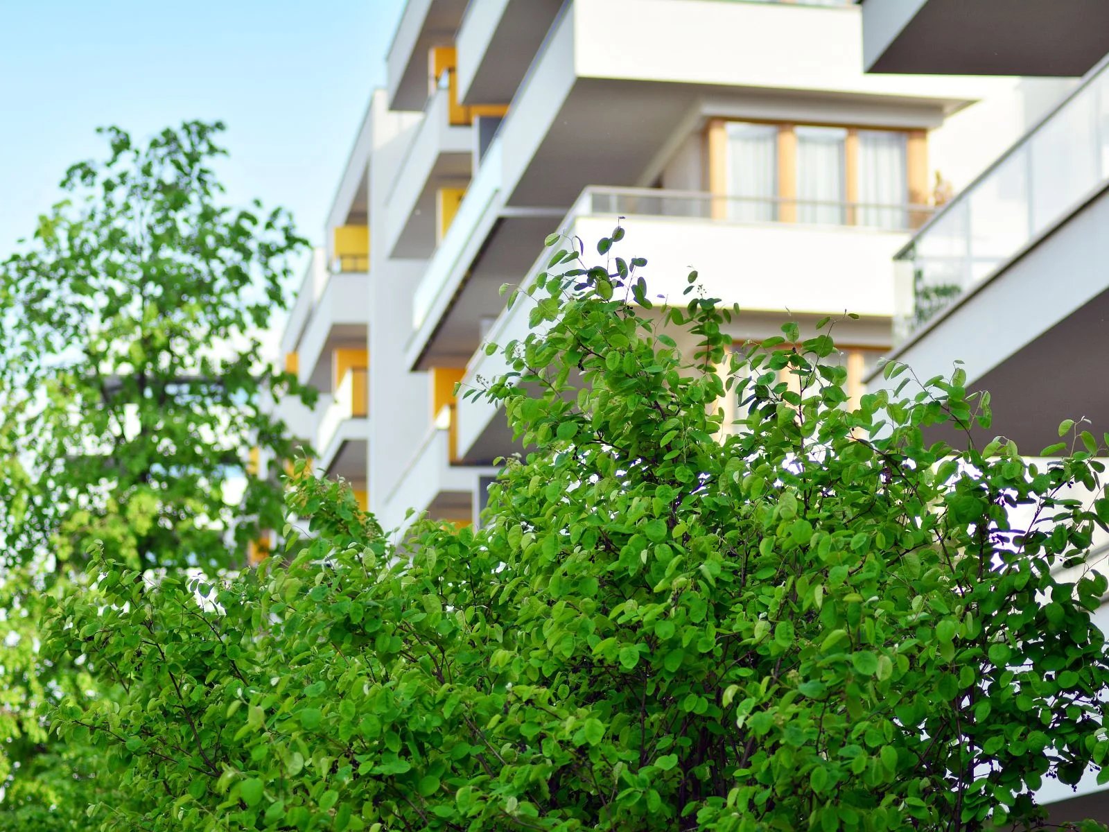 Why Apartments in Shankarpally, Hyderabad, are Ideal Family Homes