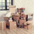 It’s Moving Day: A Guide to Shifting Homes for One and All