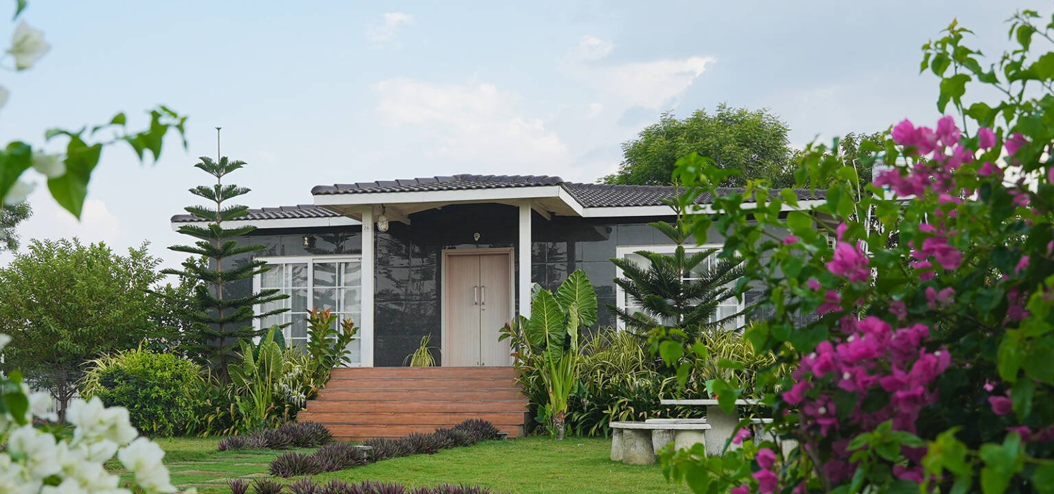 ankura farmhouse